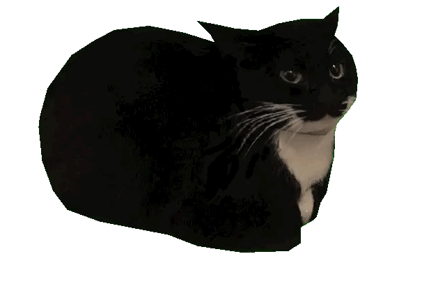 Loading Cat